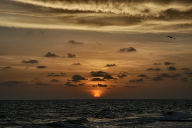 madeirabeachsunset.jpg