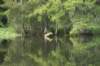 turtlelineup_small.jpg