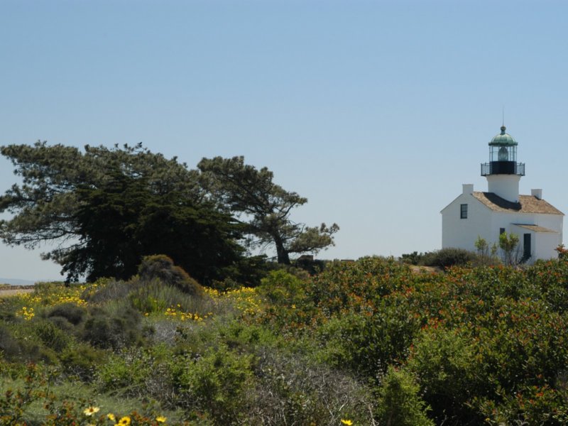 lighthouseandtree4803.jpg