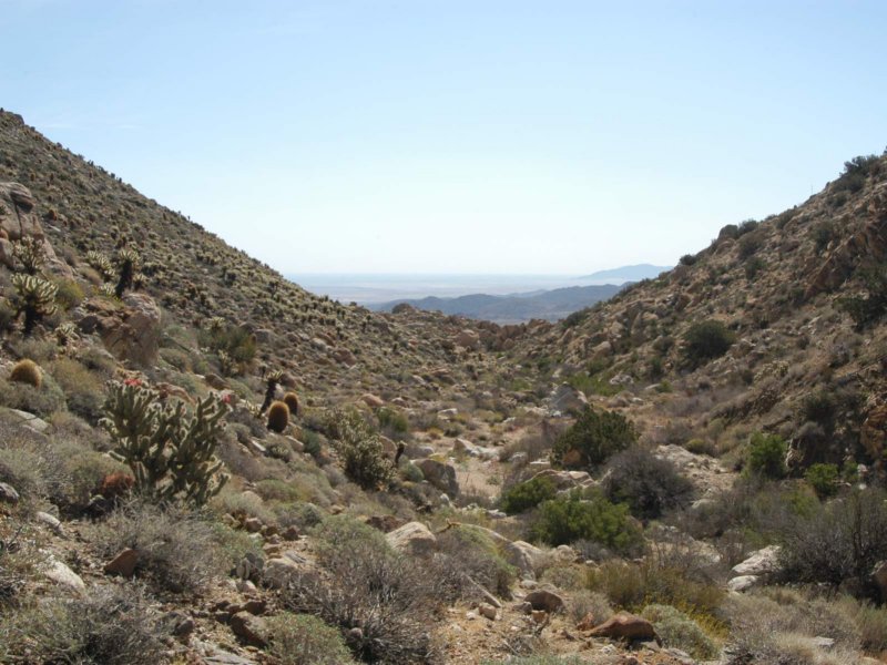 morterowash42803.jpg