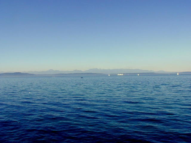 olympics from alki